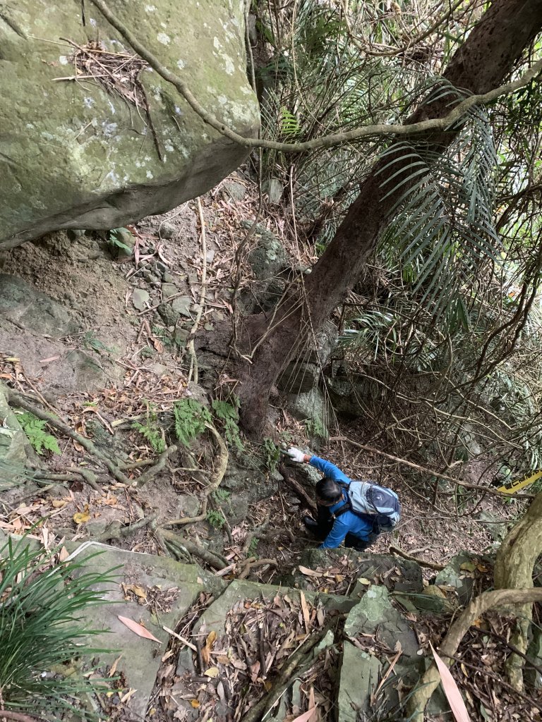 20260124屏東老佛山-老佛山南峰_2992242