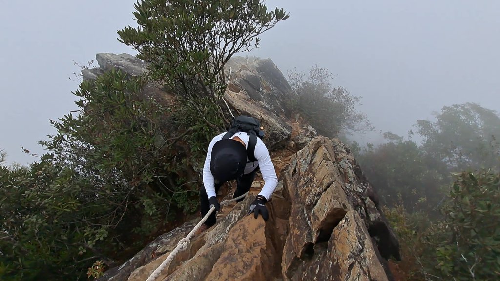 台中 鳶嘴稍來山O繞+稍來神木_2989500