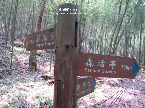 【台中。和平】 與大自然深呼吸。八仙山國家森林遊樂區步道群_1427333