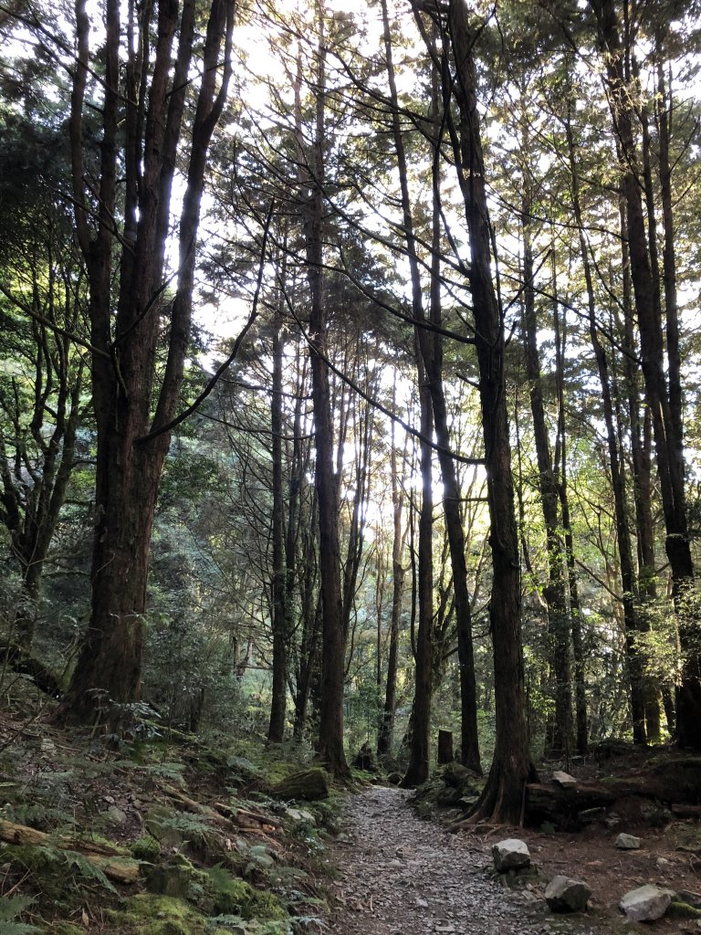 鳶嘴稍來國家步道季秋縱走_1144691