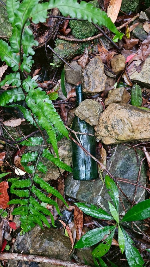 20250413浸水營古道_2760336