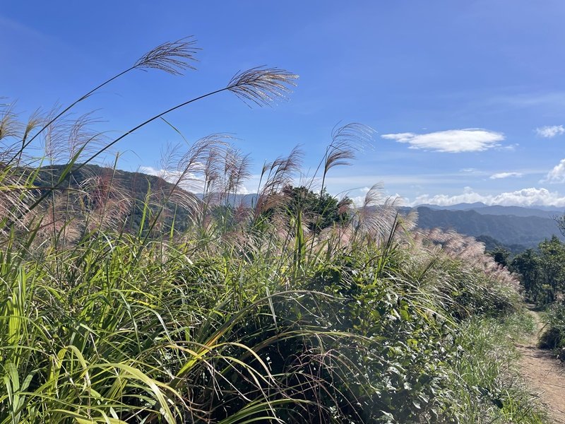 千島湖周邊步道封面圖