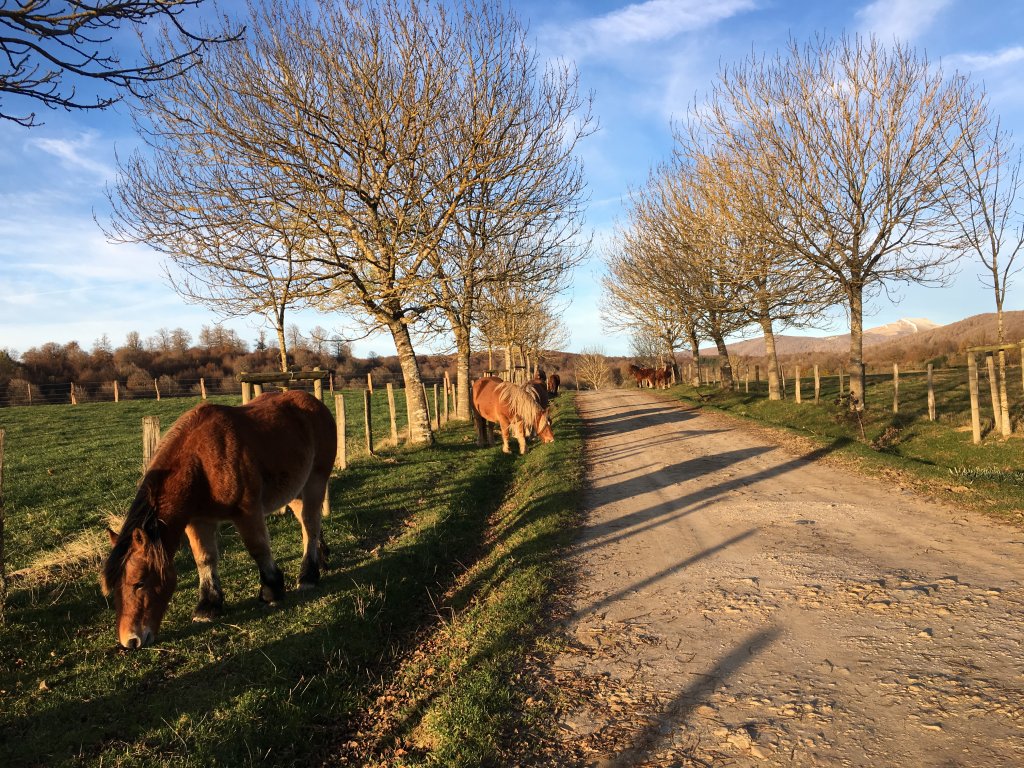 西班牙 聖雅各 朝聖之路 Camino de Santiago - French way_623001