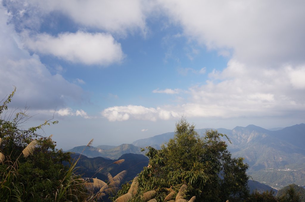 奮起湖大凍山步道_2011430