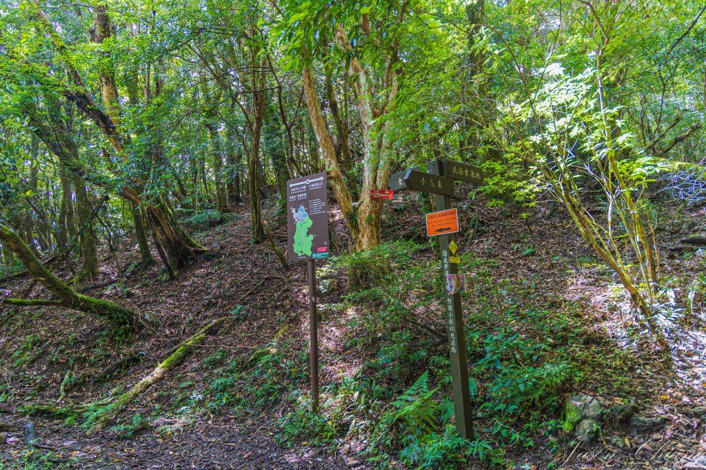 [桃園]北插天山磨練之旅_2532898