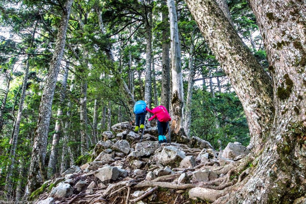 再訪南湖大山_51593