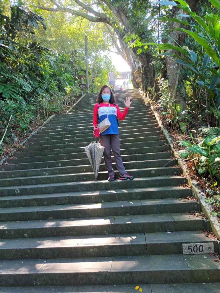 【臺北大縱走 7】政大→樟山寺_1475109