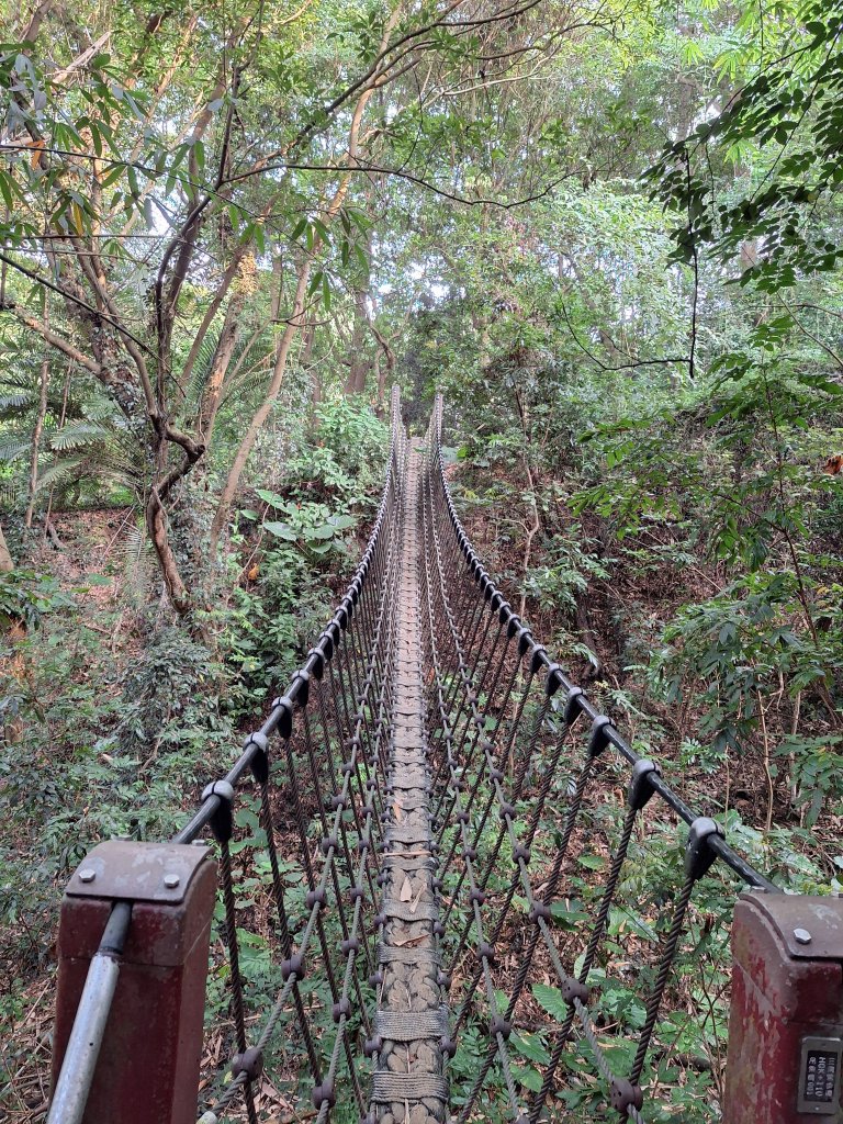桃源里森林步道+龍鳳谷步道+坑子內山20250906_2880238