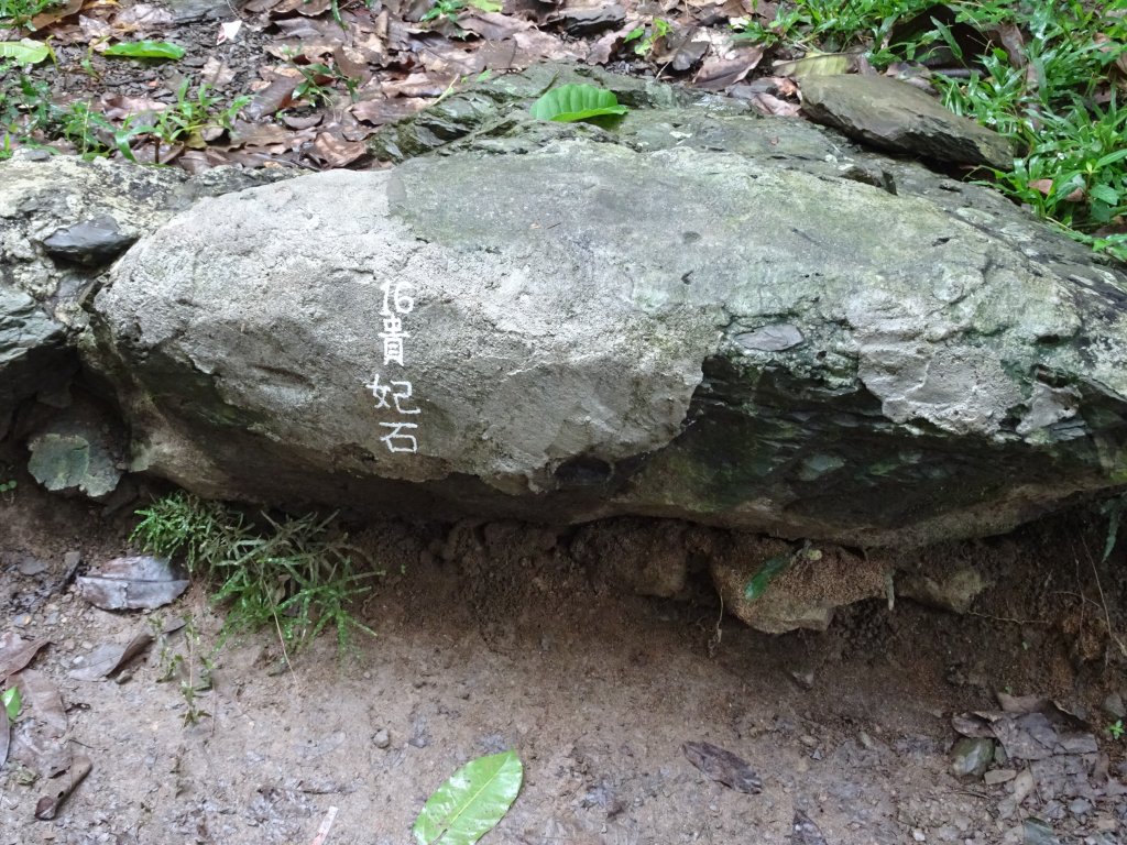 台灣小百岳-屏東笠頂山、棚集山和高雄之旅_1169861