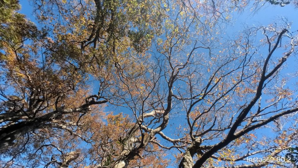 內鳥嘴山+北得拉曼_1923132