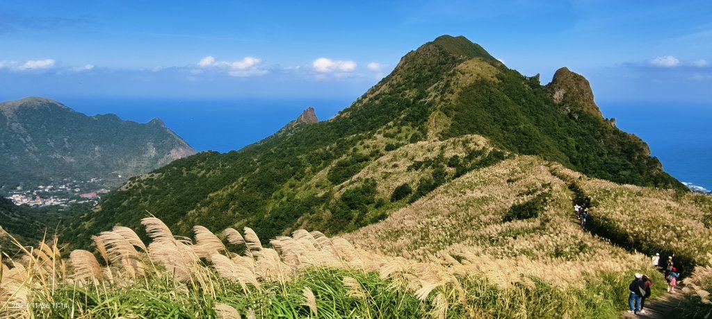 #半屏山 #芒花 11/26_2946059