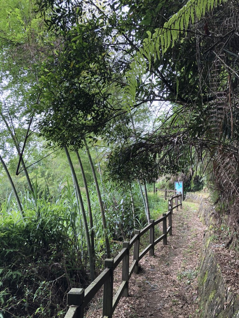 台灣小百岳No.055 石壁山_1028060