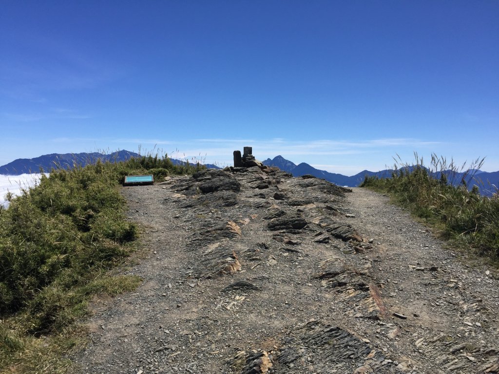 武陵四秀(2015四缺喀_2019喀桃)_689686