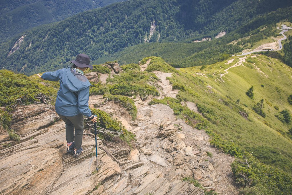 20230721-[南投] 合歡北峰步道_2534520