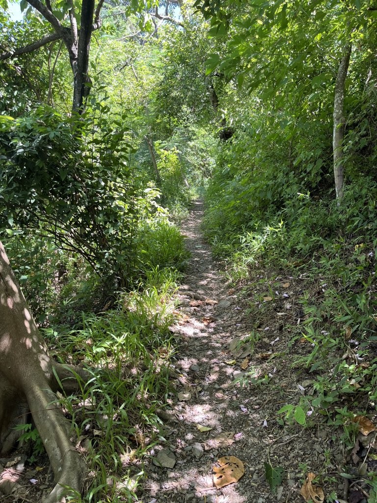 [屏步青雲 尋寶任務-04/10] 2024_0917 浸水營步道（前段）_2597926