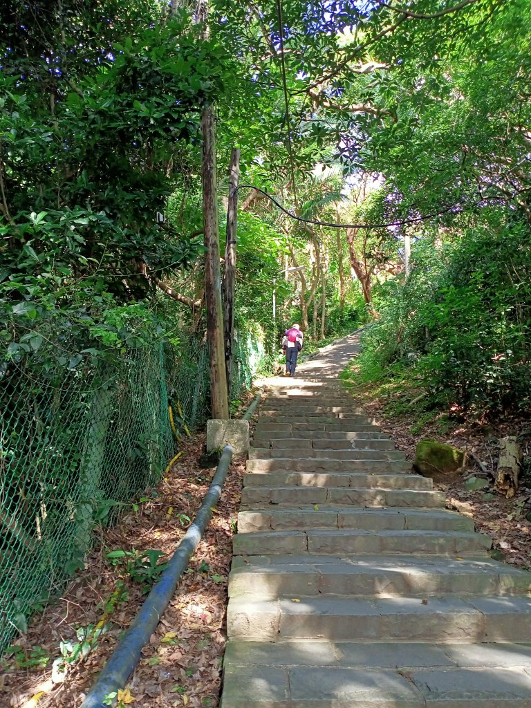 天母水管路步道(天母古道)、劍潭公園、八二三砲戰紀念公園【南山神壽任務】_1960983