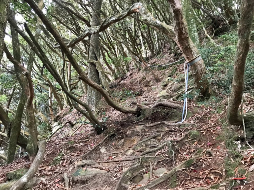 搭過山車飛越哈加縱走_1132948