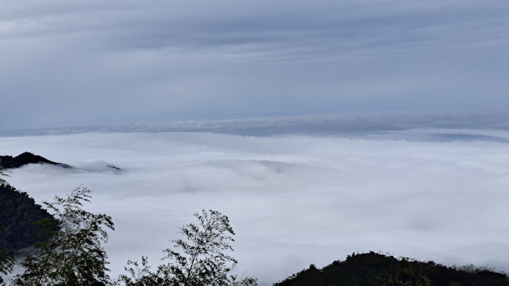 20250114東埔山；20250115二延平步道_2693846