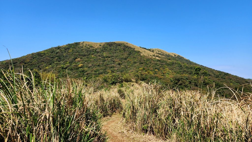 磺嘴山，翠翠谷，擎天崗，孝子山，慈母峰，普陀山，嶺腳瀑布，基隆曾子寮山，地標景觀台步道_2062805