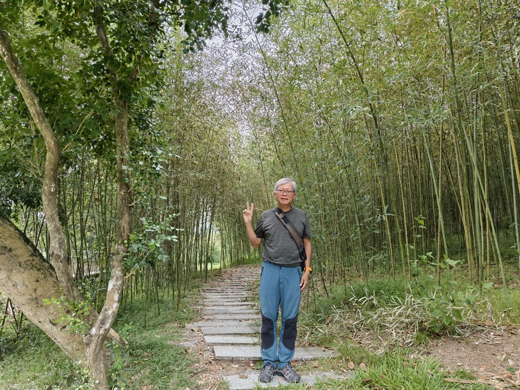 [漫遊縱谷 愛在花東-04/10] 2025_1011 羅山村竹林步道封面圖
