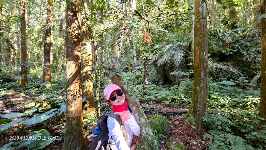 新竹尖石蓮包山+鴛鴦谷鰻潭瀑布O型走_2379069