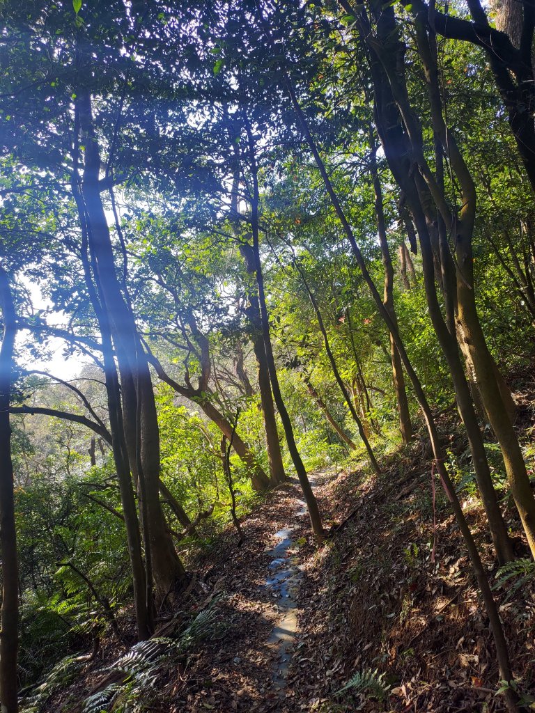 林口老公崎-新林步道O形_1978981