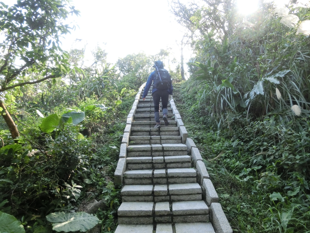 金山魚路古道．獅頭山公園_91807