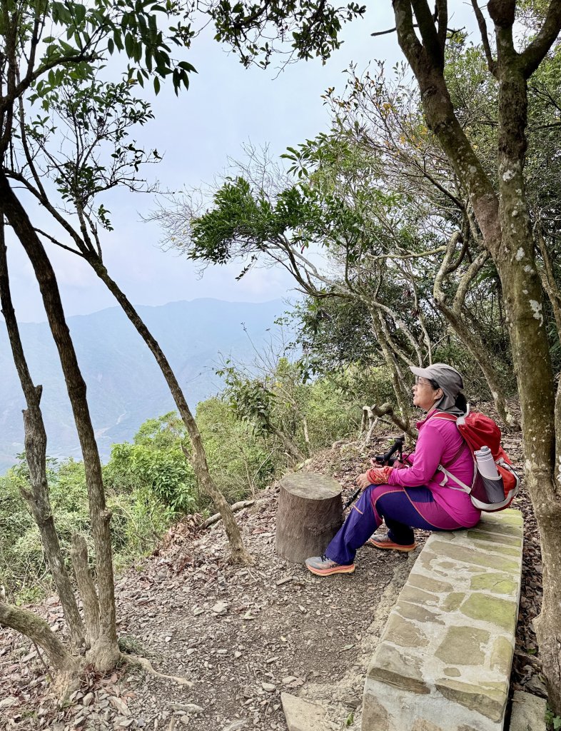 大漢林道登山趣(力里山.具馬奴山.崁頭窩山)  2026.3.28_3028037