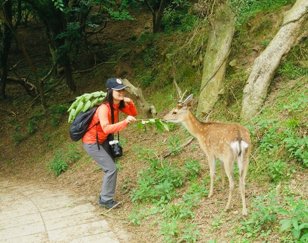 馬祖卡溜卡溜_595429