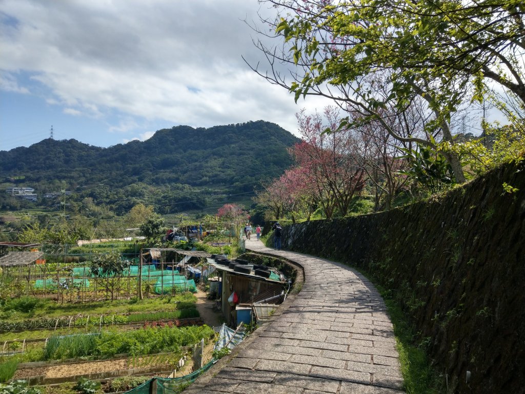 臺北大縱走第七段：飛龍步道→指南宮步道_1315254