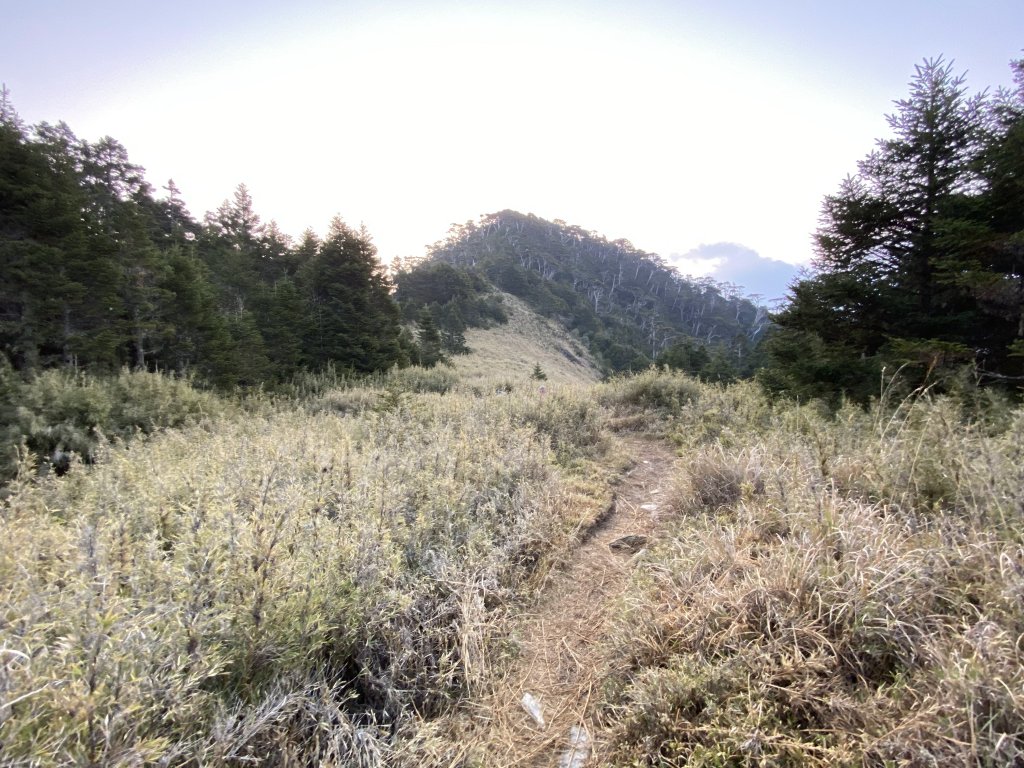 【武陵四秀兩天一夜】│全攻略│_1103537