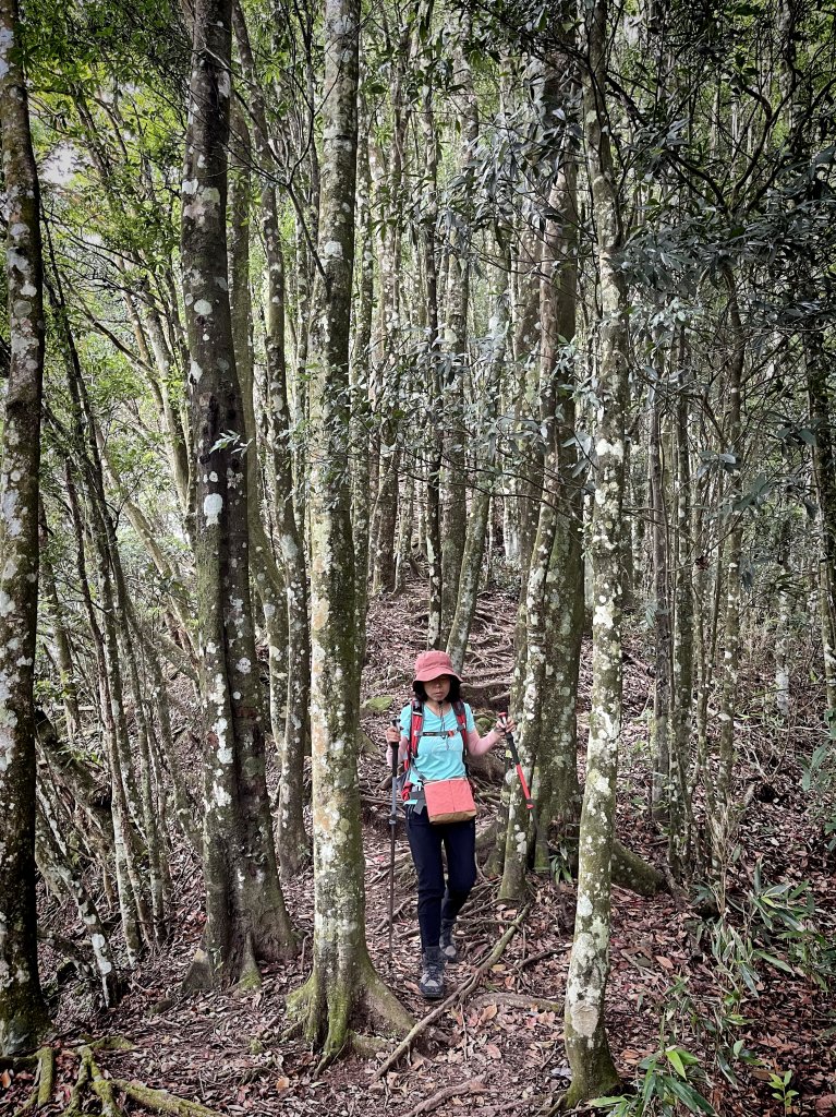 鳥嘴山(上島山) 20230813_2247112