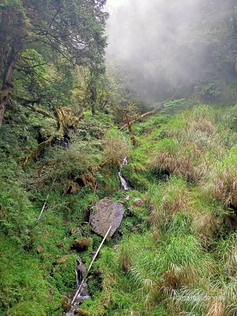 宜蘭太平山國家森林遊樂區 - 見晴懷古步道、檜木原始林步道（2-1 至蹦蹦車站）【台灣百大必訪步道】_2245159