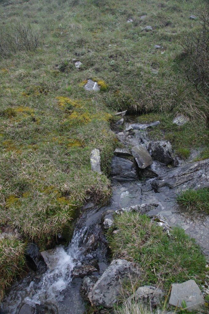 二訪南湖大山_137671