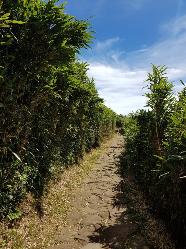 2020.08.18 北投-七星山主峰_1071812