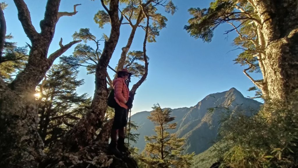 北二段之 甘薯無明_2611843