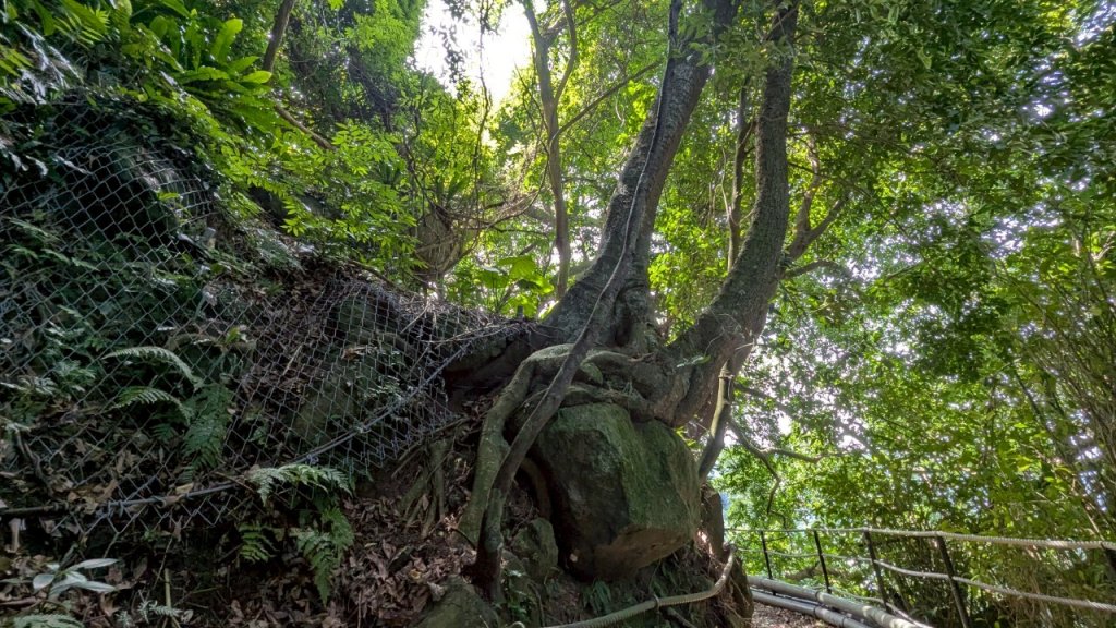 114.06.01溪山百年古圳-太平尾山+聖人崙之旅_2801835