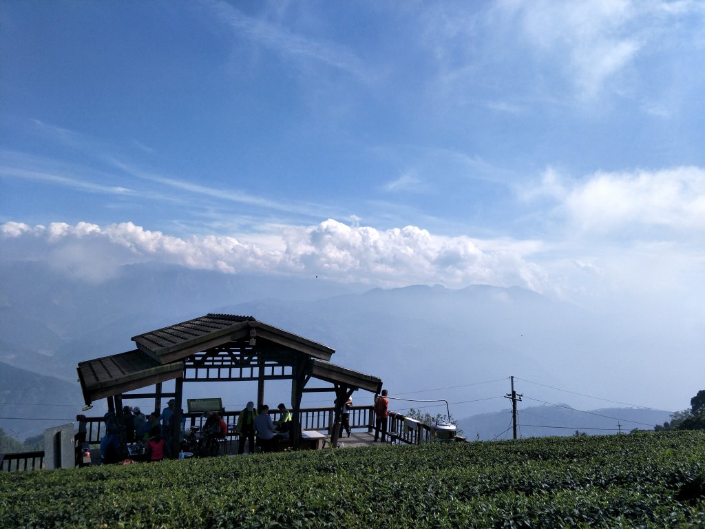 2018 11 22 挑筍古道(大尖山、後棟仔山步道)_463884