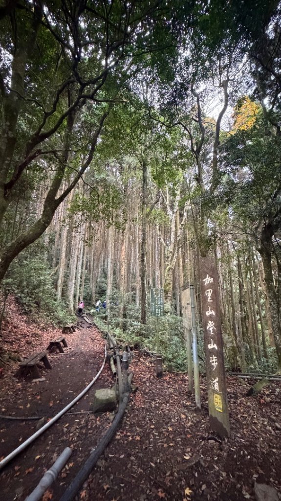 加里山 2025 12/28_2971680