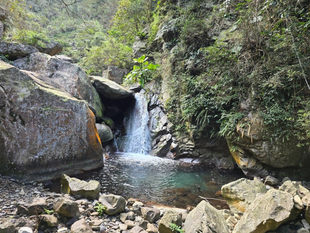 蝶夢八唐（裡冷登山口往返）八仙山出雲海下山順賞富士櫻_2722697