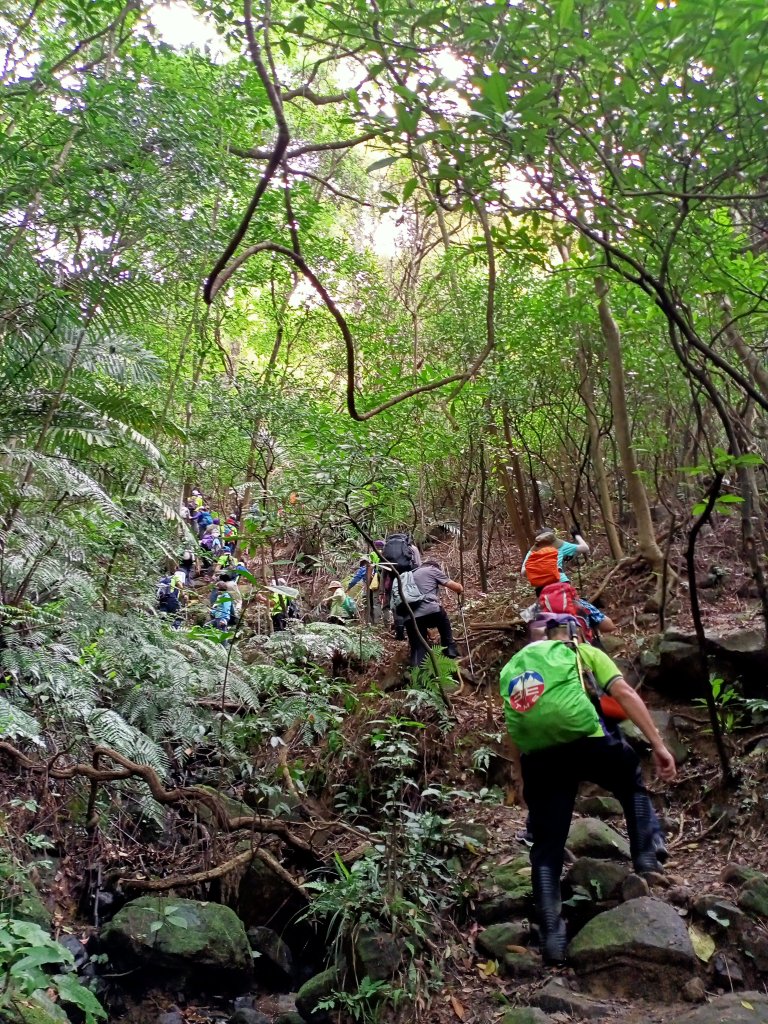 【大內連峰】大湖公園→內溝溪生態步道_1727865