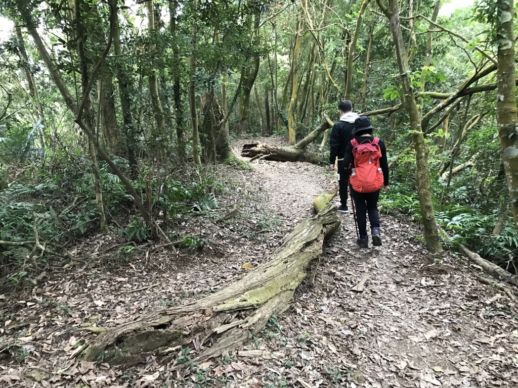 走出關古道上關刀山_98628