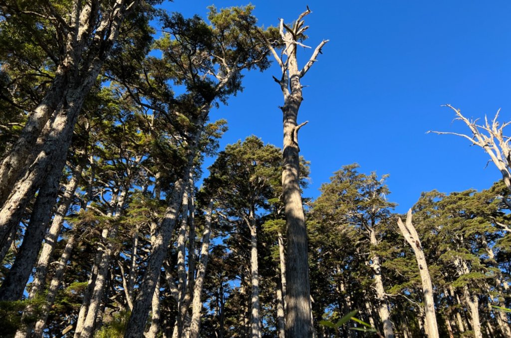 值得為它緩慢⋯白姑大山_1487660