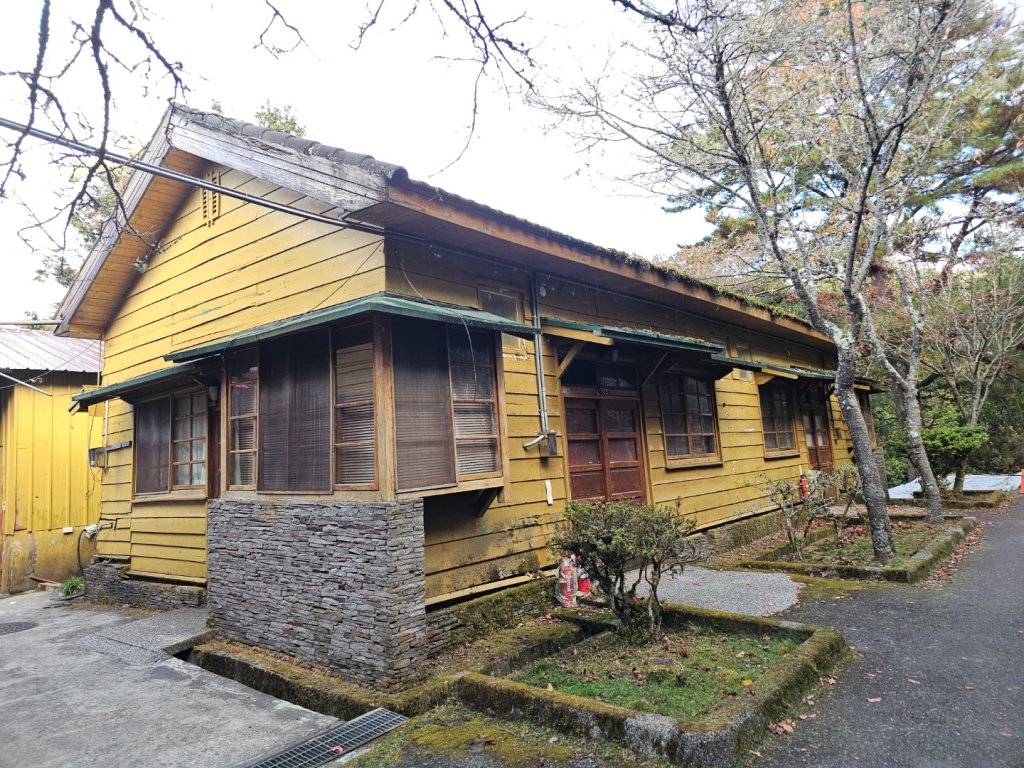 大雪山森林遊樂區森林浴步道_2966008