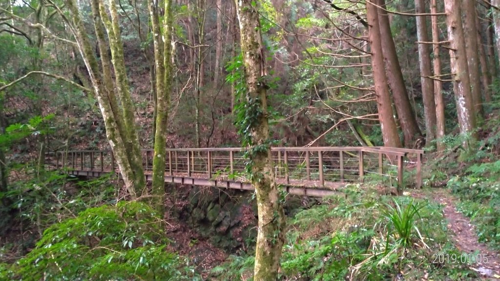 小百岳行~加里山(#34)，苗栗縣山_500958