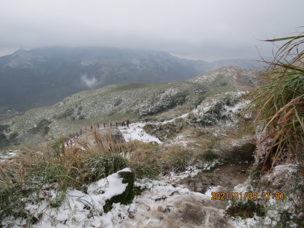 七星山初雪(20210109)_1232675