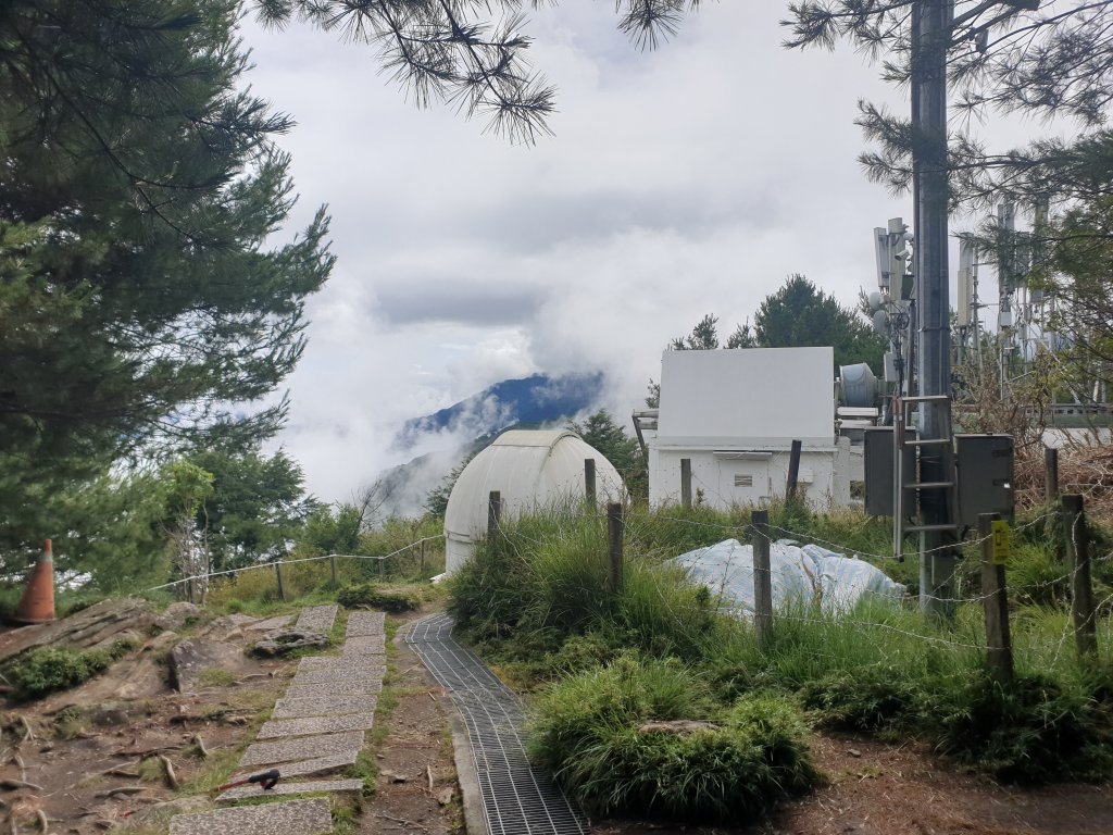 20220715鹿林前山、鹿林山、麟趾山、東埔山_1774848