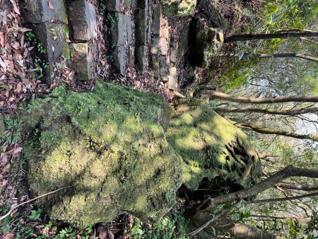 走遍陽明山尋寶任務/環陽明山人車分道陽金、小油坑、冷水坑、中山樓_2071215