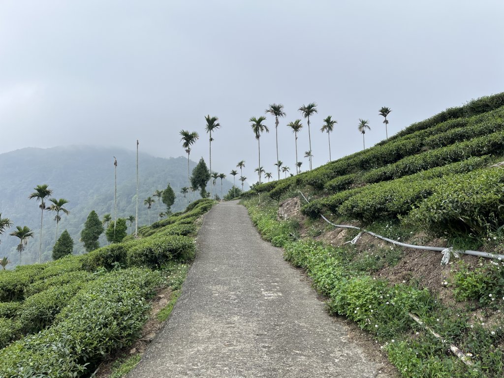 2023_0429_挑筍古道_2138215