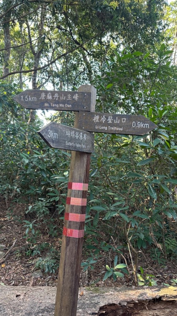 裡冷上唐麻丹O繞+蝴蝶谷_2742927